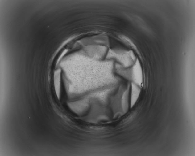 X0000082970435200703020238