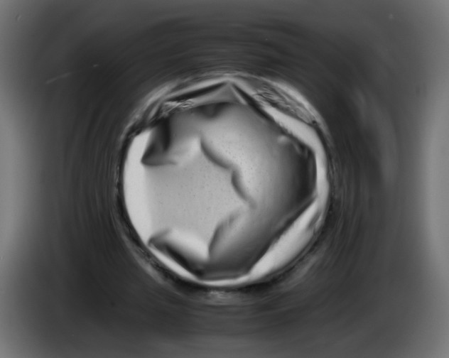X0000082970437200703020238