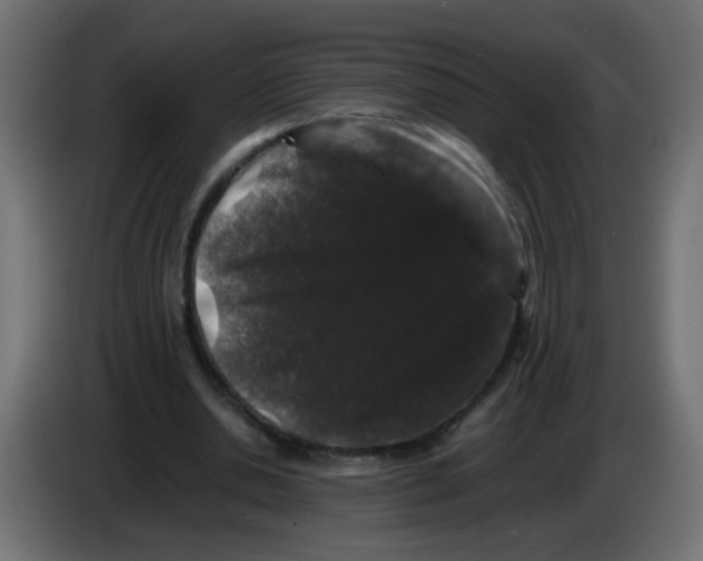 X0000082970438200703020238