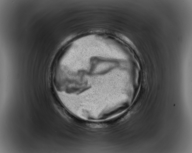 X0000082970439200703020238