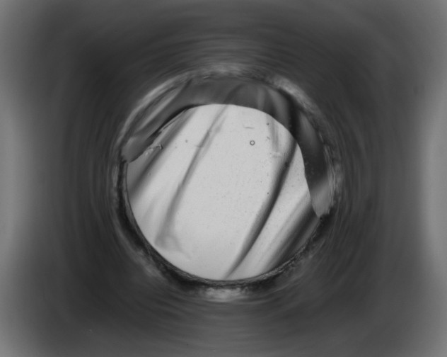 X0000082970440200703020238