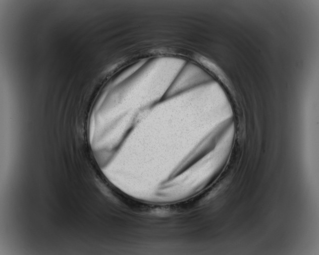 X0000082970441200703020238
