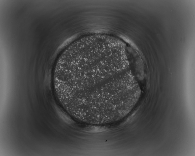 X0000082970442200703020238