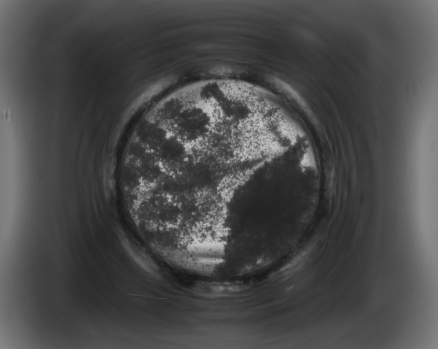 X0000082970443200703020238