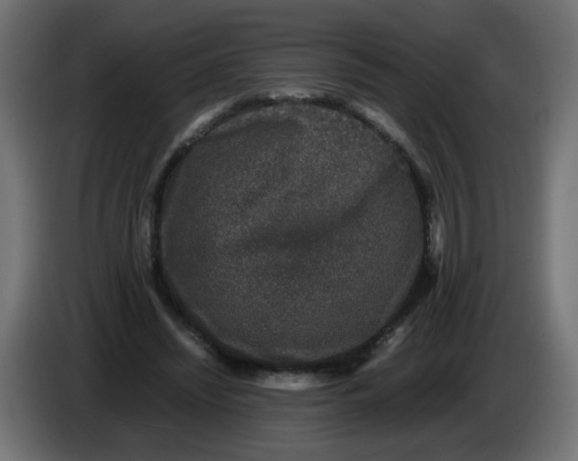 X0000082970444200703020238