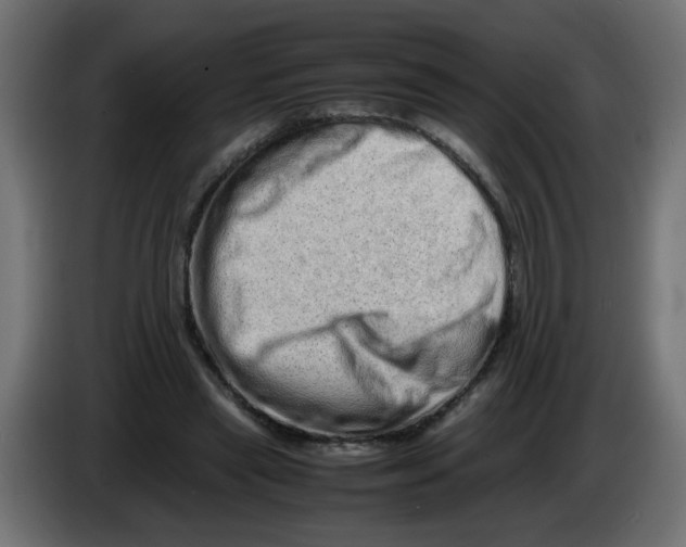 X0000082970445200703020238