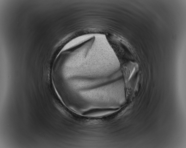 X0000082970446200703020238
