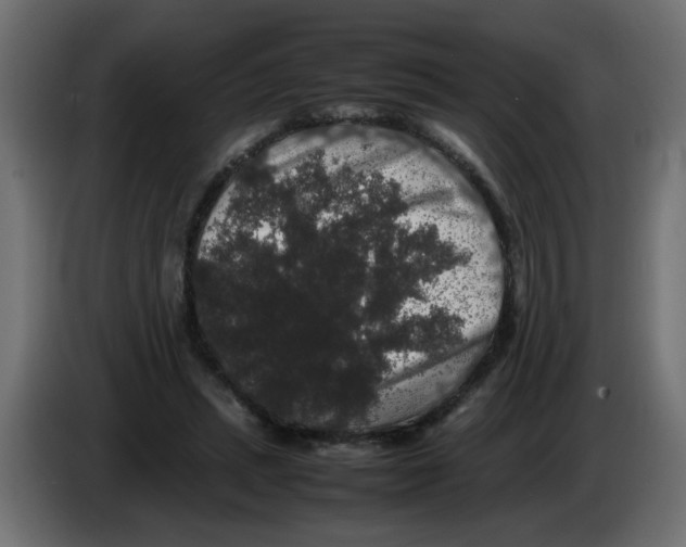X0000082970447200703020238
