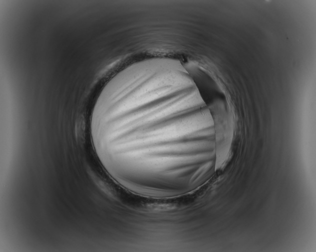 X0000082970448200703020238