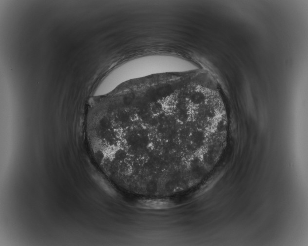 X0000082970449200703020238