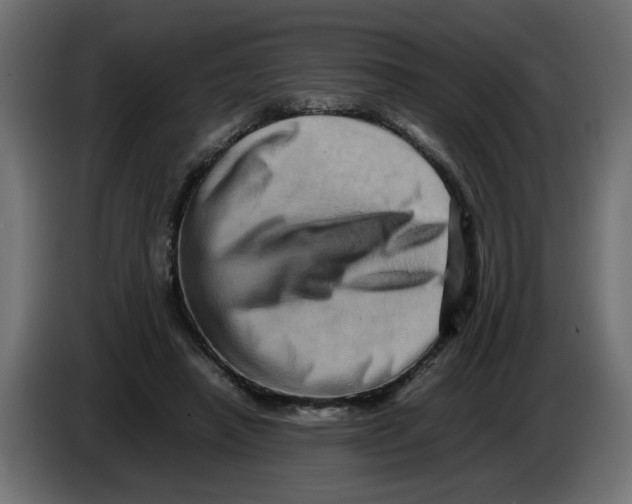X0000082970450200703020238