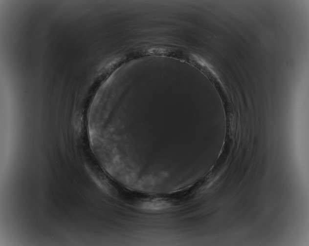 X0000082970451200703020238