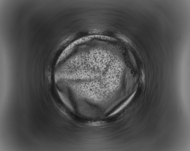 X0000082970452200703020238