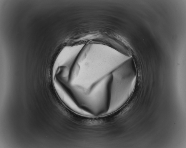 X0000082970453200703020238