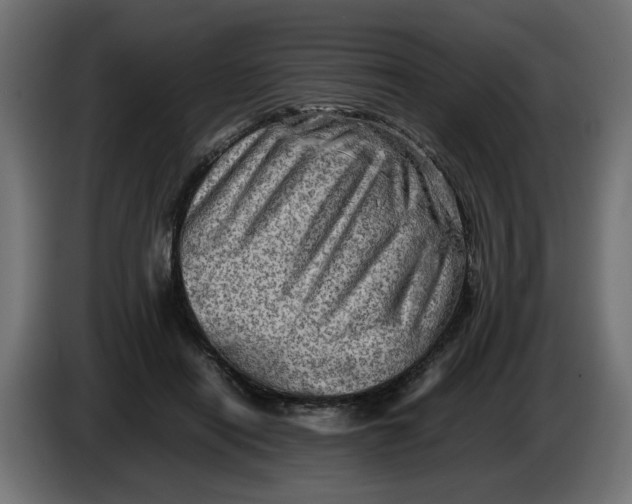 X0000082970454200703020238