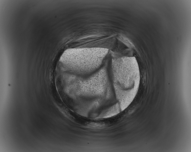 X0000082970455200703020238
