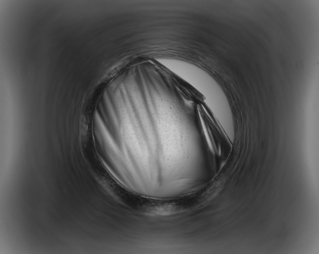 X0000082970456200703020238