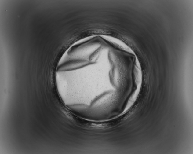 X0000082970457200703020238
