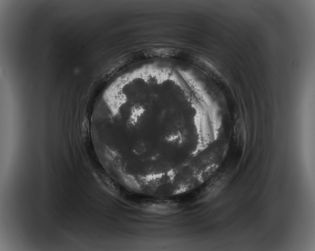 X0000082970459200703020238