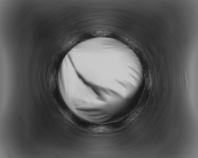 X0000082970460200703020238