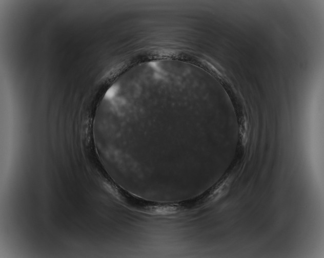X0000082970462200703020238