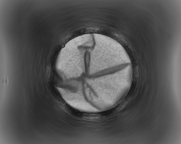 X0000082970463200703020238