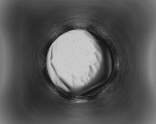 X0000082970464200703020238