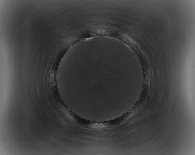 X0000082970465200703020238