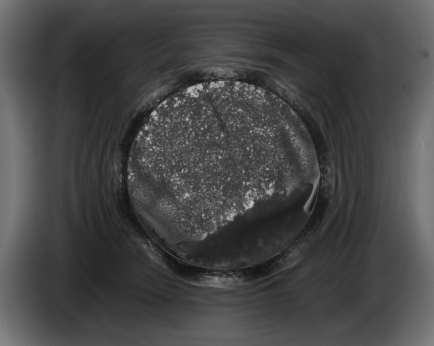 X0000082970466200703020238