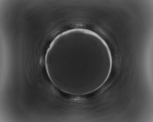 X0000082970467200703020238