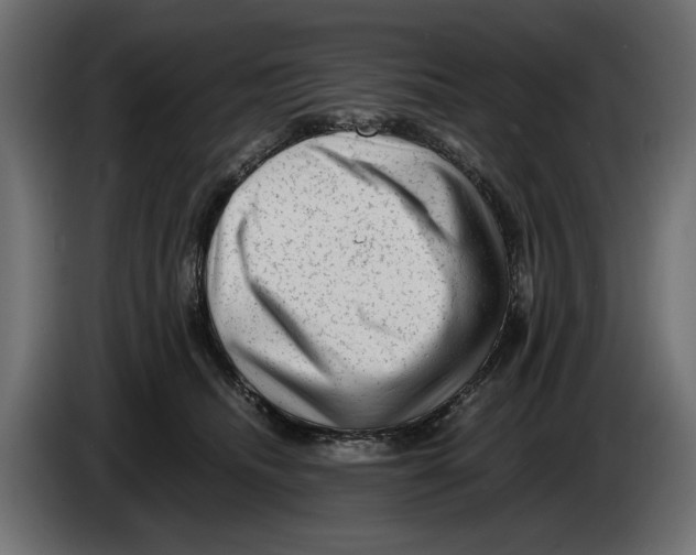 X0000082970468200703020238
