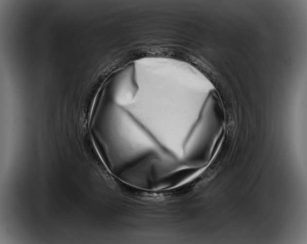 X0000082970469200703020238
