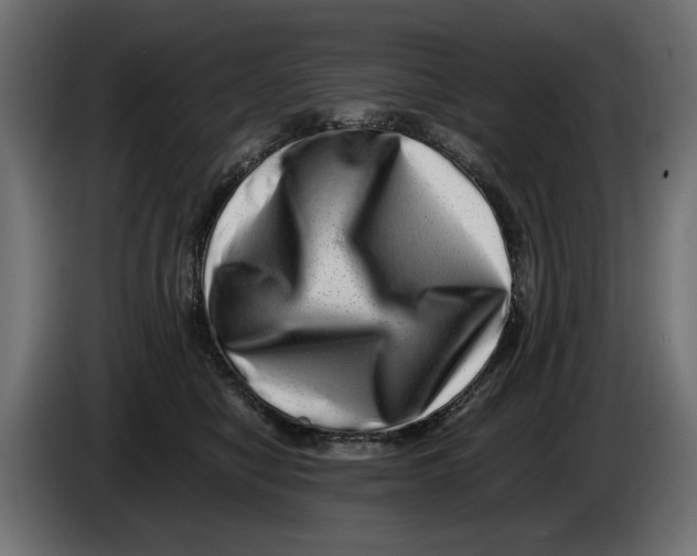 X0000082970470200703020238