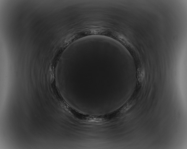X0000082970471200703020238