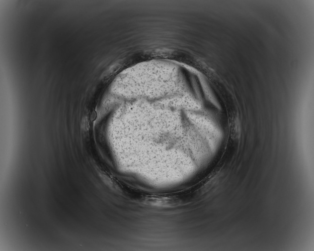 X0000082970472200703020238