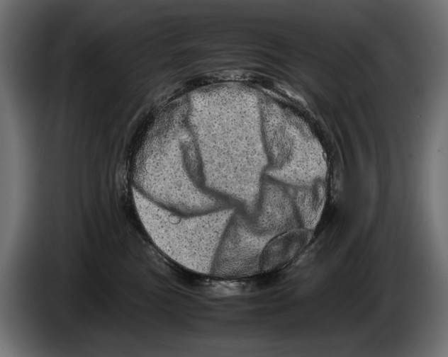 X0000082970473200703020238