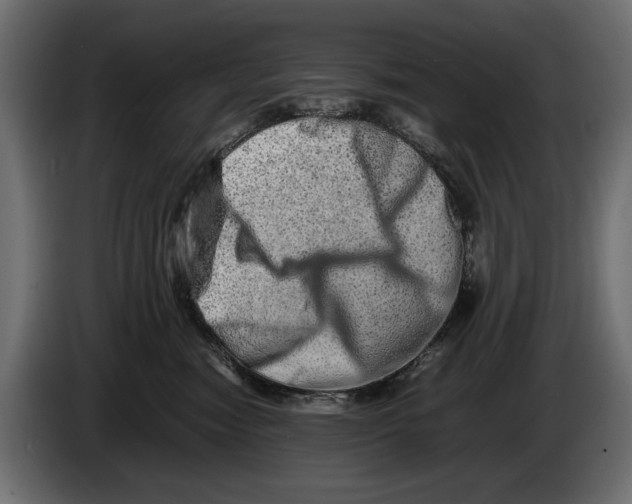 X0000082970474200703020238