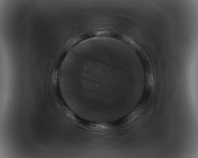 X0000082970475200703020238