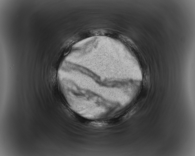 X0000082970477200703020238