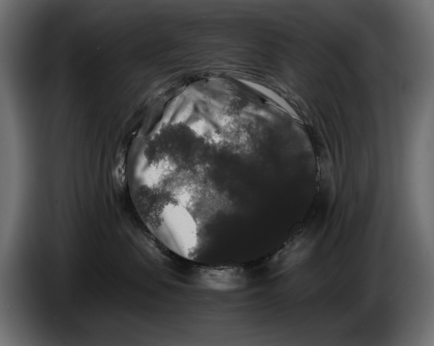 X0000082970479200703020238