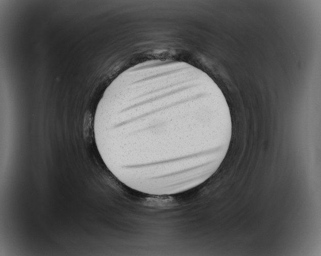 X0000082970480200703020238