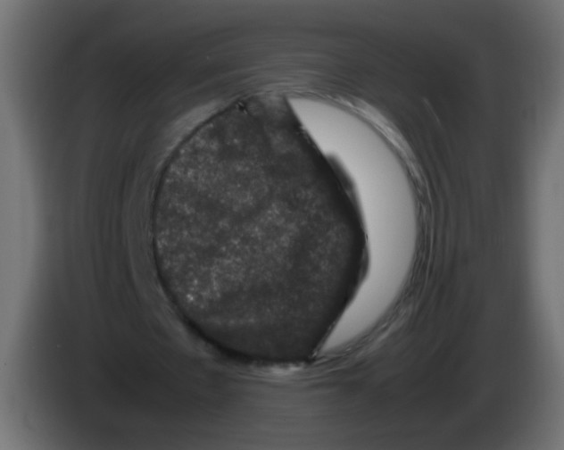 X0000082970481200703020238