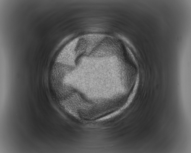 X0000082970482200703020238
