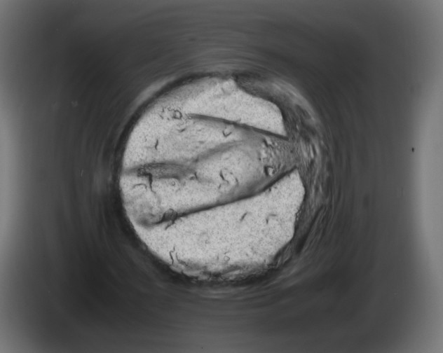 X0000082970483200703020238