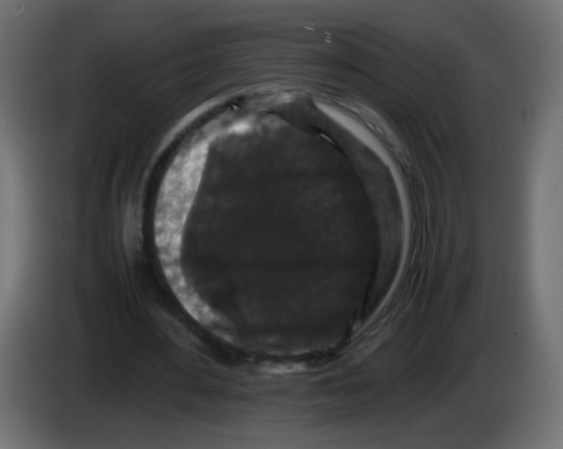 X0000082970484200703020238
