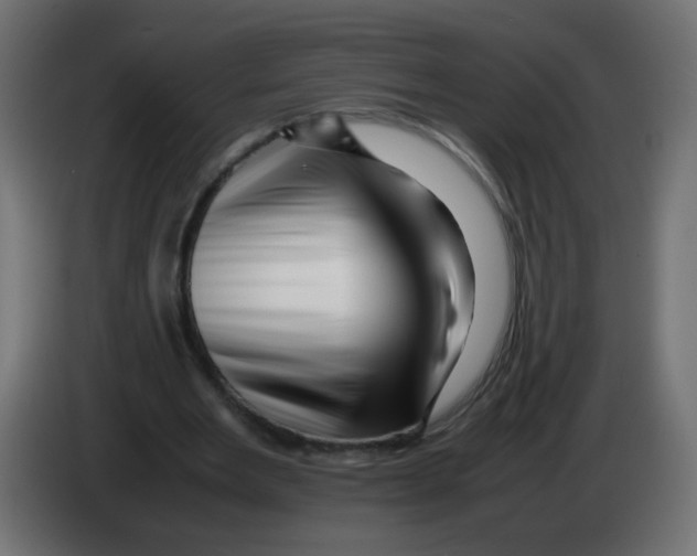 X0000082970485200703020238