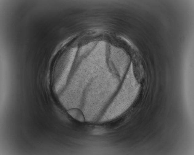 X0000082970486200703020237