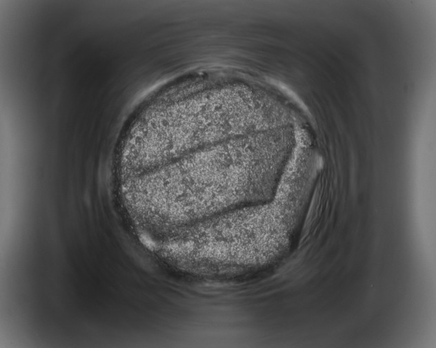 X0000082970487200703020237
