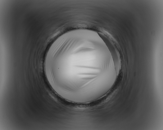 X0000082970489200703020237