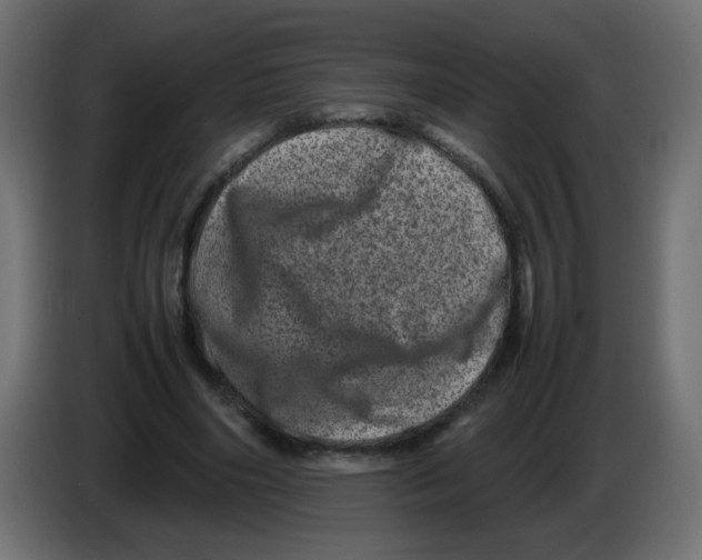 X0000082970490200703020237